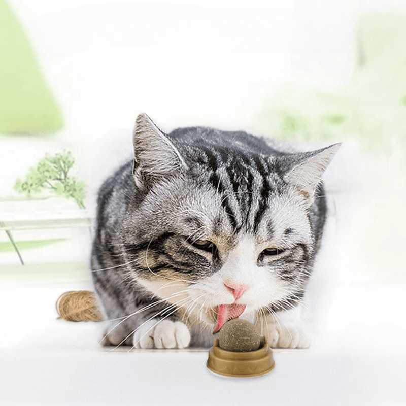 Bolinha Catnip Relaxante para Gatos - Marvin Express™